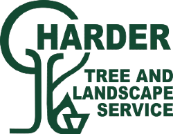 Harder Tree and Landscape